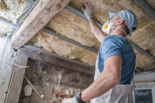 Best Types of Insulation in Zelienople, PA